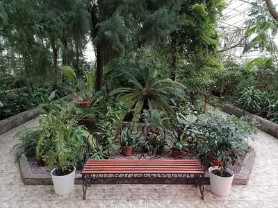 Ботанический сад (Уфа)