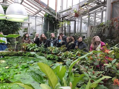 Уфимский ботанический сад стал площадкой для заключения брака