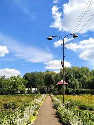 Ботанический сад, Уфа - «Влюбилась в это место. Если любите природу, то  обязательно рекомендую к посещению. Рай для Экоголика. Кусочек леса в  городе. » | отзывы