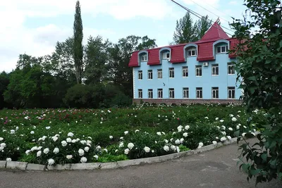 Ботанический сад, Уфа - «Южно-Уральский ботанический сад-институт. Уфа. » |  отзывы
