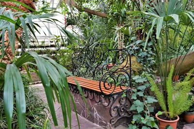 В райских кущах Уфимского ботанического сада