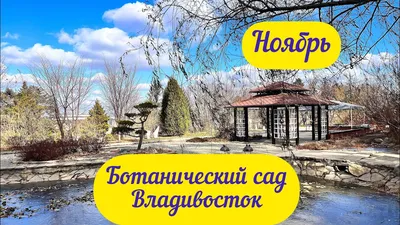 MAMADO - Ботанический сад - институт ДВО РАН, ботсад на Садгороде,  Владивосток