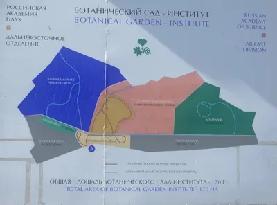 Ботанический сад - институт ДВО РАН г. Владивосток - новые впечатления на  Кактус Life