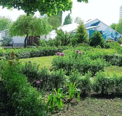 Ботанический сад ВГУ в Воронеже — адрес, сайт, на карте, фото, как  добраться, отзывы