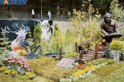 В Ботаническом саду Воронежа зацвела лаванда — Интернет-канал «TV Губерния»