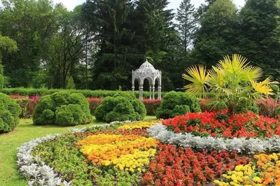 Ботанический сад — Википедия