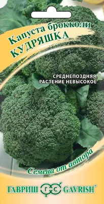 Делюсь секретами ОГРОМНОГО УРОЖАЯ БРОККОЛИ! Тонкости выращивания брокколи  от посева до сбора урожая - YouTube