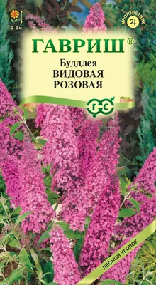 Будлея Давида `Фасинейтинг`, Buddleja davidii `Fascinating` | СадПарад