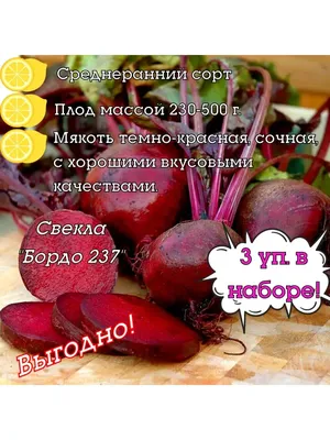 Названы лучшие овощи для здоровья печени | 03.09.2022, ИноСМИ