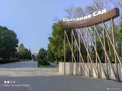 Каким будет Быханов сад в Липецке после реконструкции - МК Черноземье