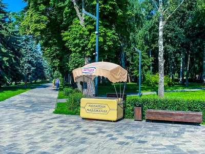 Парк «Быханов сад» в Липецкой области — фото, описание на GoRu