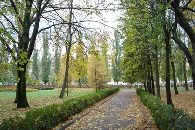 Парк «Быханов сад»