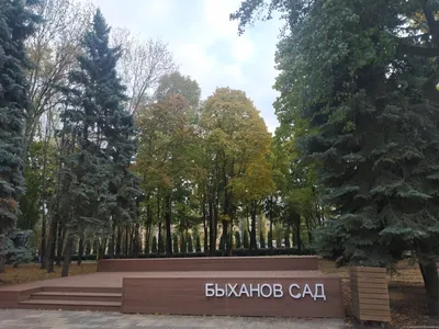170 миллионов рублей потратят на благоустройство Быханова сада в Липецке -  KP.RU