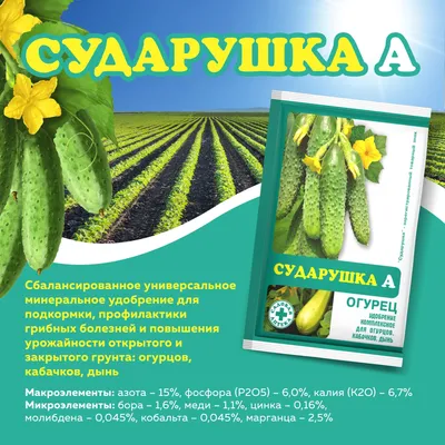 Желтеют листья огурцов в теплице и открытом грунте: что делать, чем  подкормить | ivd.ru