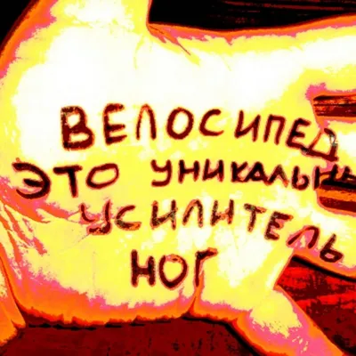 В Петербурге создали социальный ролик «Я не овощ, я – человек» - Агентство  социальной информации