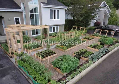 30 отличных фото идей, как огородить грядки на даче | Garden boxes raised,  Vegetable garden design, Raised garden beds