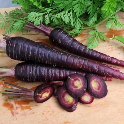 Черная морковь польза и вред для здоровья