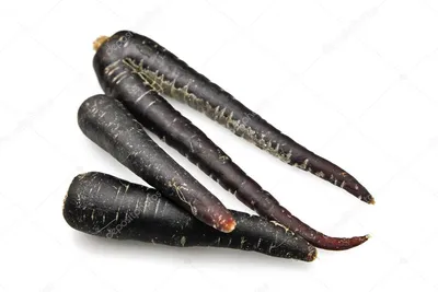 Бывает ли чёрная морковь и где она растёт?» — Яндекс Кью
