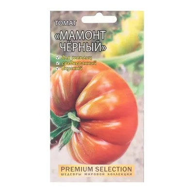 Черные мошки на помидорах: чем обработать в теплице и открытом грунте -  Ортон