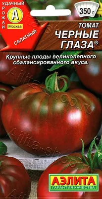 черные пятна на зеленых томатах в саду. начало болезни. Закрытие томатной  болезни Стоковое Изображение - изображение насчитывающей начиная,  урожайность: 267329283