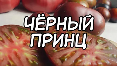 Орешка Семена Томат Черный принц (10 шт)