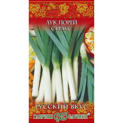 Лук - порей - Winner - 320 семена - Allium ampeloprasum L. – Garden Seeds  Market | Бесплатная доставка