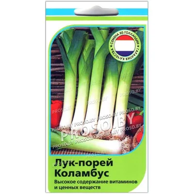 ✓ Семена Лук порей Мамонт, 0,2г, Гавриш, Семена от автора по цене 30 руб. ◈  Большой выбор ◈ Купить по всей России ✓ Интернет-магазин Гавриш ☎  8-495-902-77-18