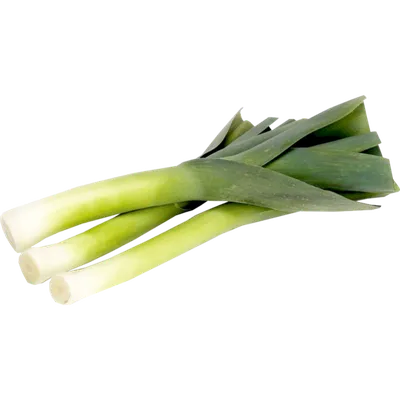 Healthy leek recipe. САМЫЙ Полезный Лук-порей на завтрак! РЕЦЕПТ на скорую  руку! СЕКРЕТ здесь! - YouTube