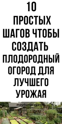 Как оформить сад на даче своими руками