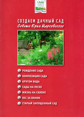 Моя дача. Сад и огород, [15 авг. 2022 в 19:20] Идеи для оформления сада  Больше советов тут - Моя дача Не … | Beautiful gardens, Garden, Small front  yard landscaping