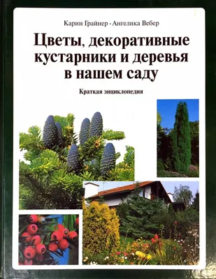 Домашние идеи и советы | Кустарники, Тепличное садоводство, Дизайн  цветочного сада