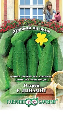 Купить семена: Огурец декоративный Бабушкин ридикюль - цены,фото,отзывы |  Green-Club.com.ua