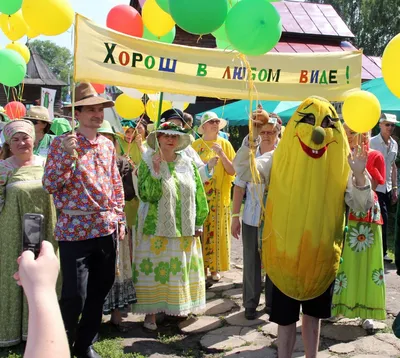 Праздник-фестиваль \"День огурца\" в Суздале | РИА Новости Медиабанк