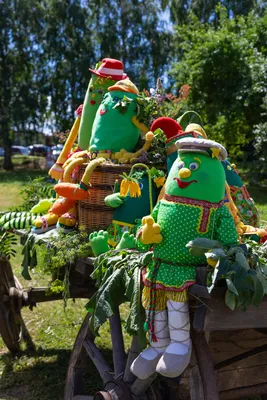 Чем День огурца в Суздале отличается от других гастрофестивалей | Food.ru —  Главная кухня страны | Дзен