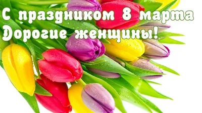 Поздравление с 8 Марта! – Крымская республиканская научная медицинская  библиотека