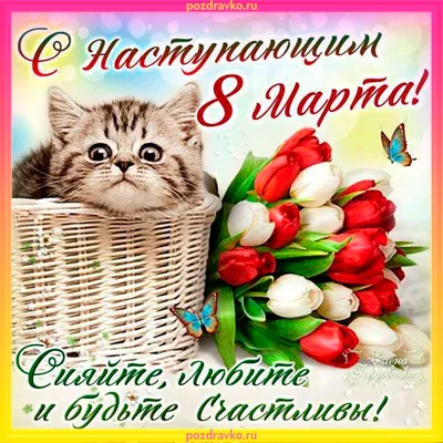 С наступающим 8 марта! | КВИН - КВИН