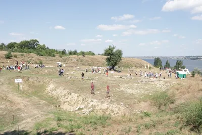 Экскурсия в Николаевский Дикий Сад. Экскурсии из Коблево