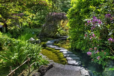 Пышный Дикий Сад — стоковые фотографии и другие картинки Royal  Horticultural Society - Royal Horticultural Society, Без людей, Ботаника -  iStock