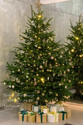 Украшение новогодней елки в Приморье: топ-10 необычных стилей - МК  Владивосток