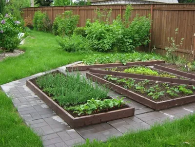 Сад огород ландшафтный дизайн