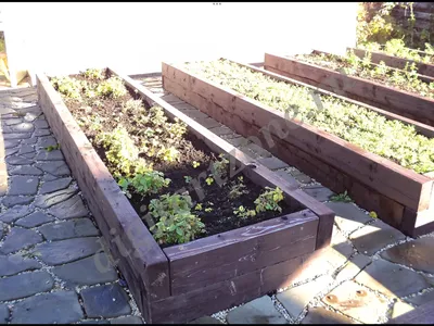 Дизайн сада и огорода в частном загородном доме: идеи для обустройства и  озеленения дачного участка - 39 фото