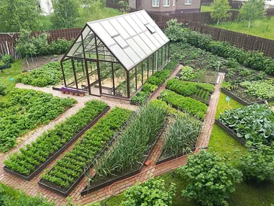 Дизайн сада и огорода ландшафтный своими руками с фото