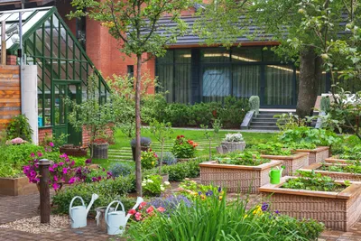 Красивый огород своими руками: стильные грядки — это просто | Дизайн  овощного огорода, Маленькие сады, Сад из деревянных паллет