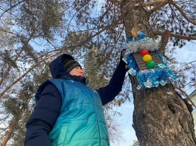 Персональный сайт - Городской конкурс \"Дорожный знак на новогодней елке\"