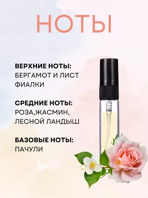 Yves Rocher Comme Une Evidence L`Eau de Parfum (Eau de Parfum) ✓ отзывы,  распив/делюсь купить в Украине, 🧪Отливант