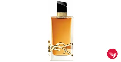 PARISIENNE FOR WOMEN BY YVES SAINT LAURENT - EAU DE PARFUM SPRAY –  Fragrance Room