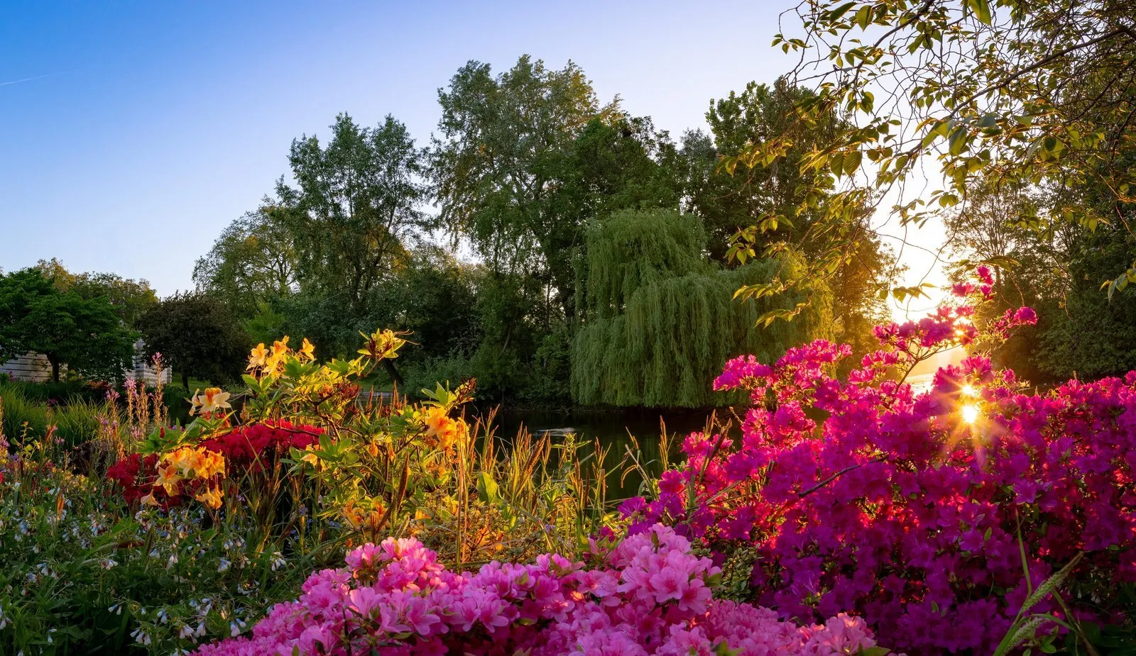 My flower garden. Прекрасный сад Эдем. Никитский Ботанический сад Райский сад. Сад Кавати Фудзи. Эдемский сад ландшафт.