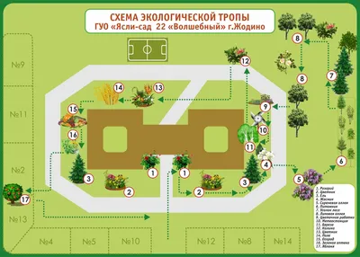 Наша Экологическая тропа | Детский сад №85 г. Гродно