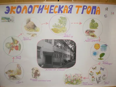 Безопасность на предприятии - Проект экологическая тропа в детском саду,  открытие в Нижнем Новгороде