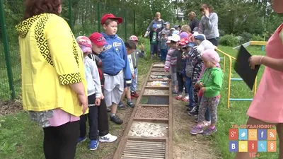 Создание экотропы на базе вашего детского сада от производителя в  Санкт-Петербурге